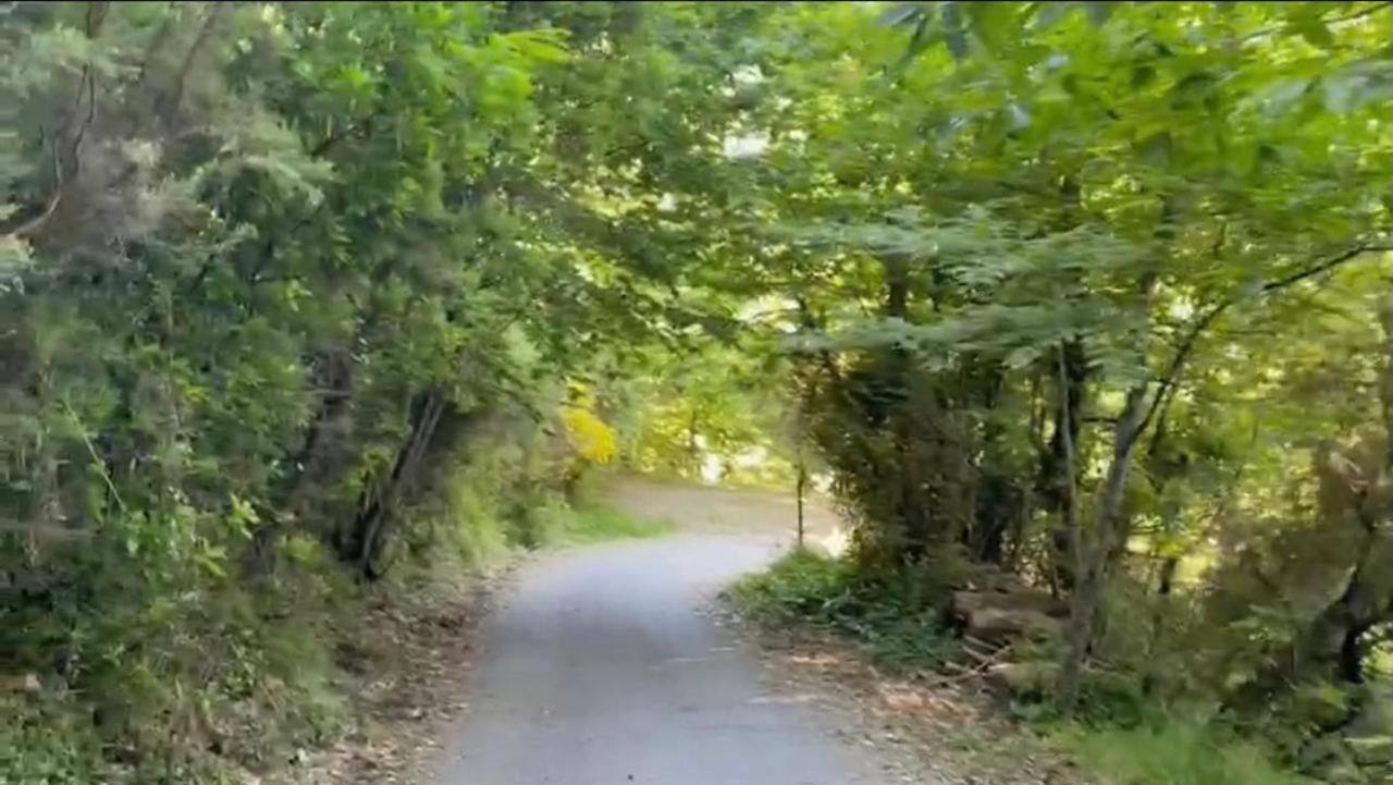 Corner Of Paradise Монеглия Екстериор снимка