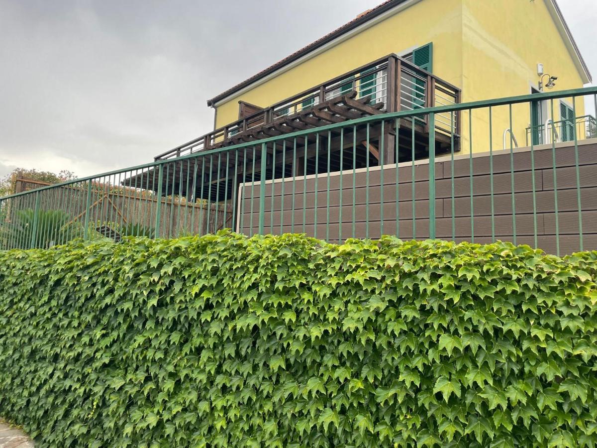Corner Of Paradise Монеглия Екстериор снимка