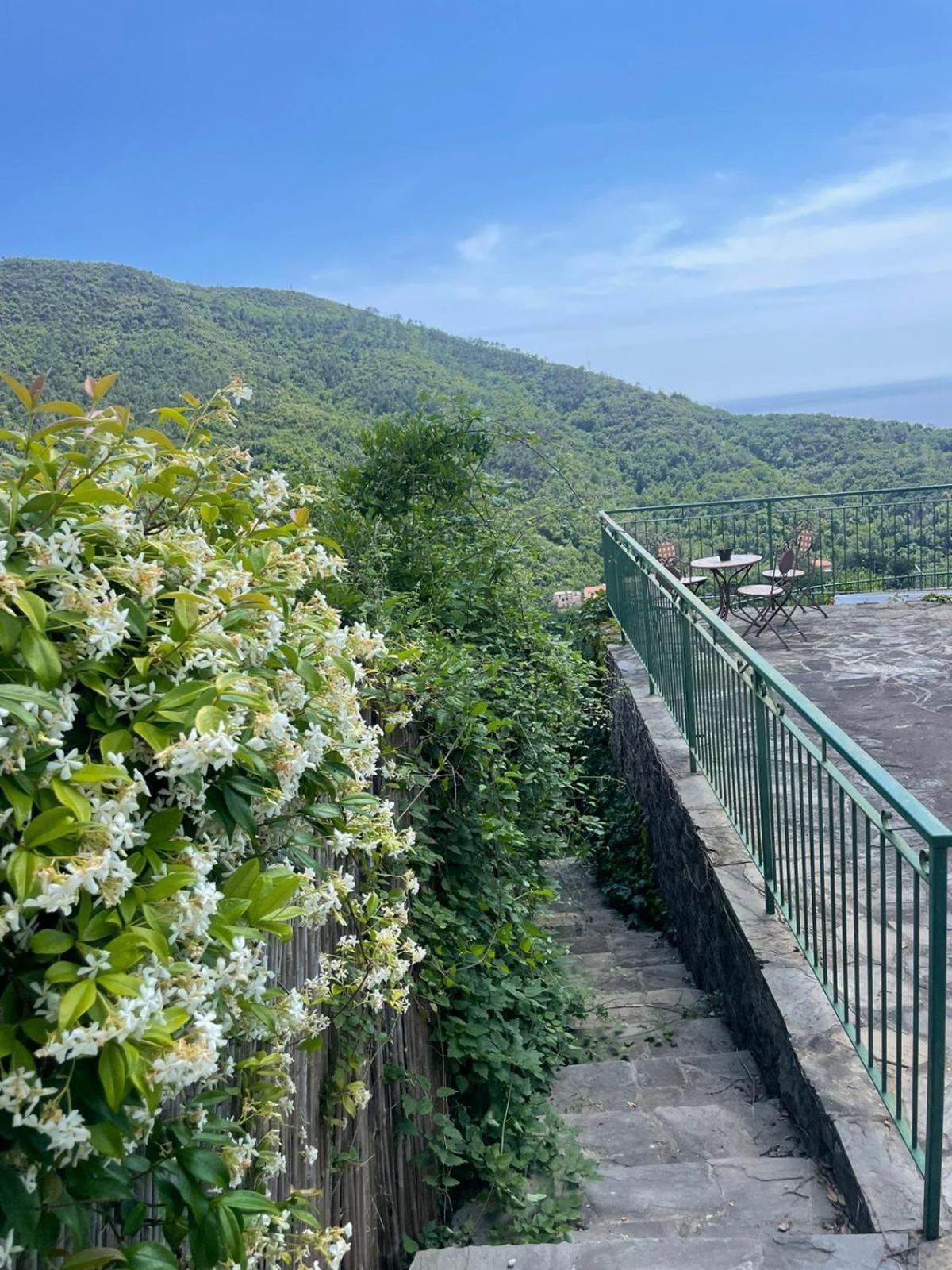 Corner Of Paradise Монеглия Екстериор снимка