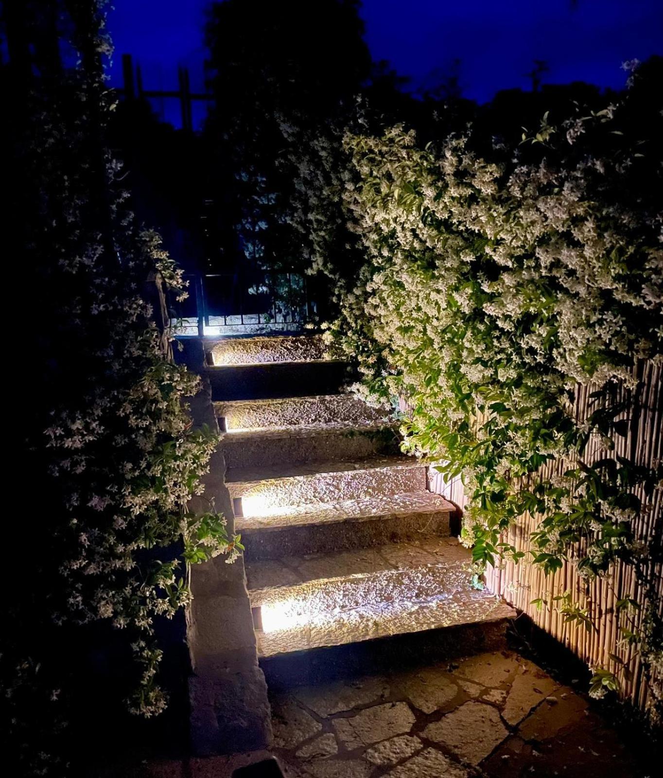 Corner Of Paradise Монеглия Екстериор снимка